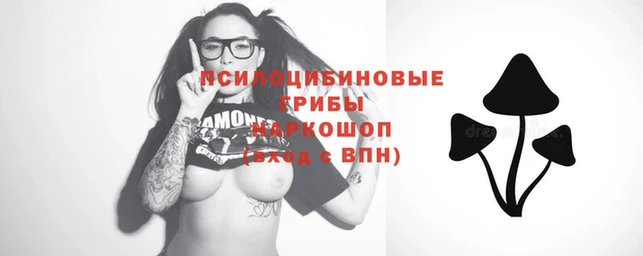 mdpv Горняк