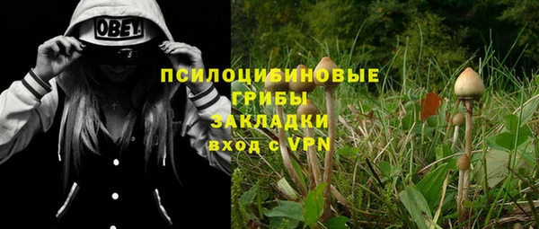 mdpv Горняк
