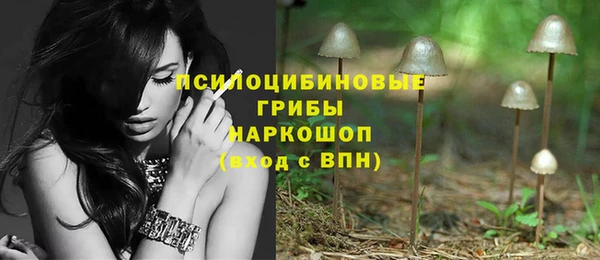 mdpv Горняк